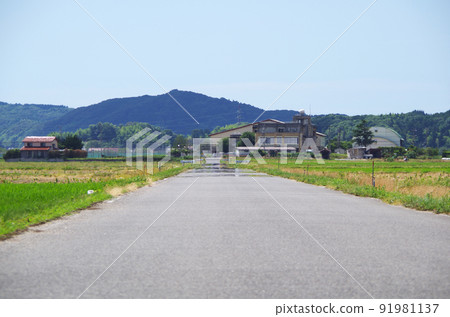 夏日烈日下柏油路面的熱霧景象 91981137