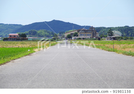 夏日烈日下柏油路面的熱霧景象 91981138