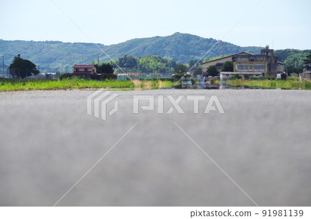 A scene of heat haze on the asphalt road surface under the scorching sun in summer 91981139