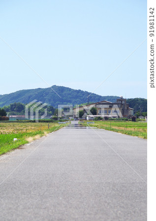 A scene of heat haze on the asphalt road surface under the scorching sun in summer 91981142