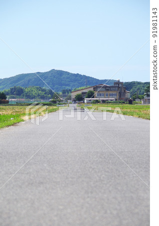 夏日烈日下柏油路面的熱霧景象 夏日烈日下柏油路面的熱霧景象 91981143