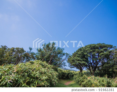 Summer Izusan ridgeline sidewalk scenery Summer Izusan ridgeline sidewalk scenery 91982281