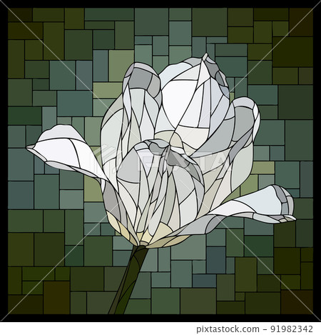 Vector stained glass window with blooming white tulip flower. 91982342