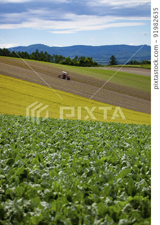 在廣闊的美瑛山上作業的拖拉機 91982635