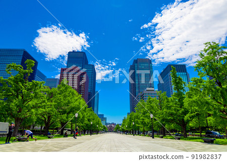 Tokyo Station and Building from Fresh Green Gyoko-dori (Chiyoda-ku, Tokyo) 91982837