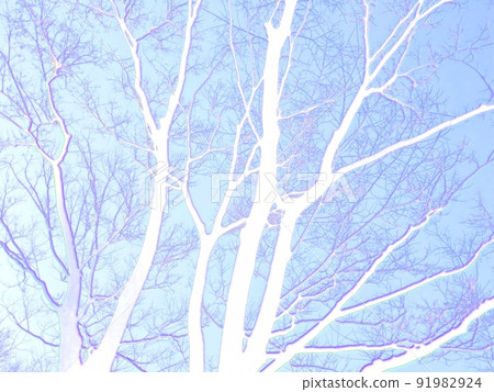 一棵僅由樹枝組成的樹。一張插畫風格的照片。 一棵僅由樹枝組成的樹。一張插畫風格的照片。 91982924