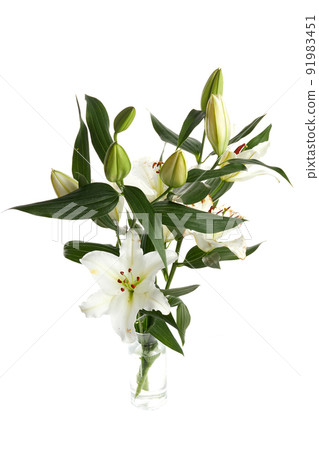 Bouquet of light lilies isolated on white background. Bouquet of light lilies isolated on white background. 91983451