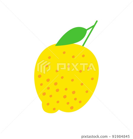 Cute lemon summer fruit isolated on white background. Vector graphic illustration. Vegetarian cafe print, poster, card, logo. Natural, organic dessert sweet, fresh berry, eco breakfast. Cute lemon summer fruit isolated on white background. Vector graphic illustration. Vegetarian cafe print, poster, card, logo. Natural, organic dessert sweet, fresh berry, eco breakfast. 91984845