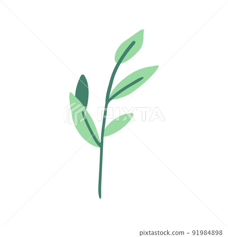 Organic shape of green plant, leaves. Modern trendy icon of foliage. Flat natural vector illustration with floral for advertisement, promotion. Organic shape of green plant, leaves. Modern trendy icon of foliage. Flat natural vector illustration with floral for advertisement, promotion. 91984898