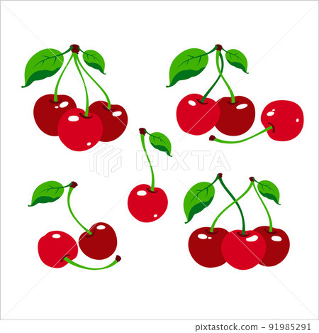 Cherry logo. Cherry berry with leaves. Isolated berries on white background. Collection of different fresh cherry berry. Vector illustration. 91985291