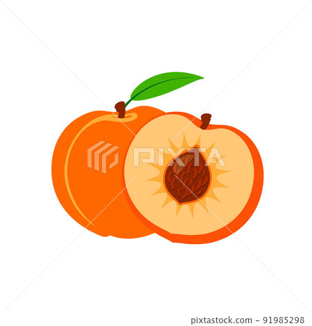 Vector set of half and whole of peach. Peaches isolated on white background. 91985298