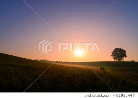 牧場的早晨 91985447