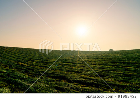 Morning of ranch Morning of ranch 91985452