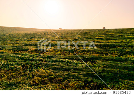 Morning of ranch Morning of ranch 91985453