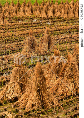 Scenery of Tamba Sasayama Scenery of Tamba Sasayama 91986258