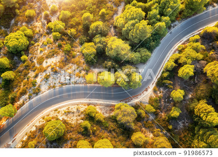 Aerial view of winding road in beautiful green forest at sunrise 91986573