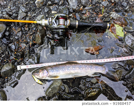I caught a char on the Oi River with a lure I caught a char on the Oi River with a lure 91988457