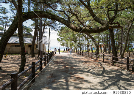 Awaji Island Place of Scenic Beauty Keino Matsubara 91988850