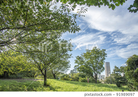 東京都目黑區西鄉山公園青葉台 91989097