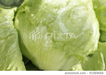 用水清洗新鮮捕獲的生菜。 用水清洗新鮮捕獲的生菜。 91989688