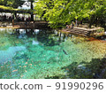 Sightseeing spots in Yamaguchi Prefecture 91990296