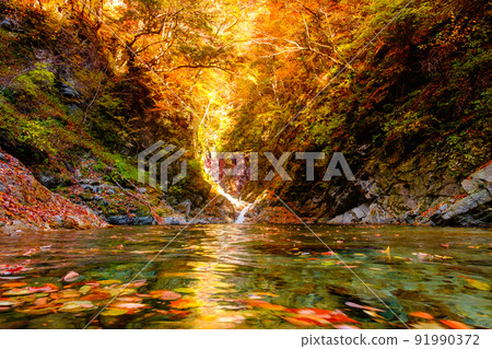 Ojiragawa Canyon（秋季）：Sengabuchi 91990372