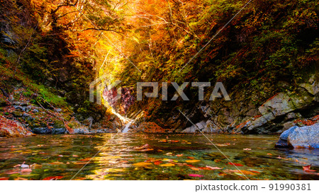 Ojiragawa Canyon（秋季）：Sengabuchi 91990381