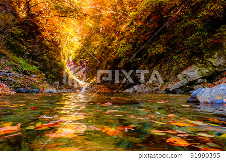 Ojiragawa Canyon(秋季):Sengabuchi Ojiragawa Canyon(秋季):Sengabuchi 91990395