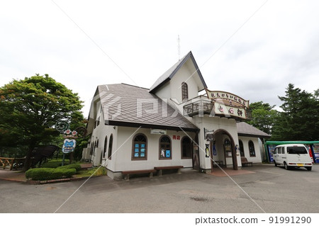 岩手縣花卷山貓根 岩手縣花卷山貓根 91991290