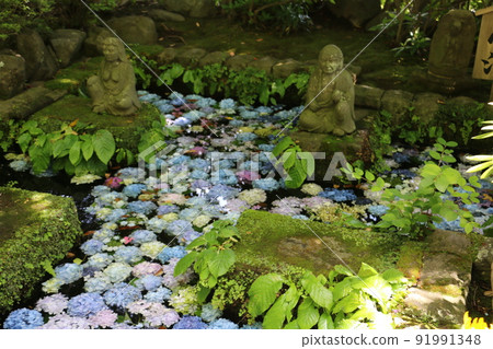 Kamakura Hasedera Manji Pond Kamakura Hasedera Manji Pond 91991348