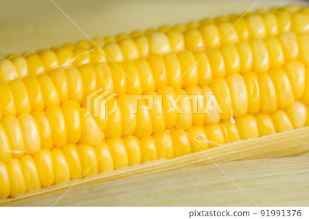 cooked sweet corn background, ripe corn cobs steamed or boiled sweetcorn for food vegan dinner or snack cooked sweet corn background, ripe corn cobs steamed or boiled sweetcorn for food vegan dinner or snack 91991376