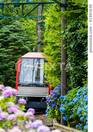 初夏穿過箱根的箱根登山鐵道繡球花列車 91991636