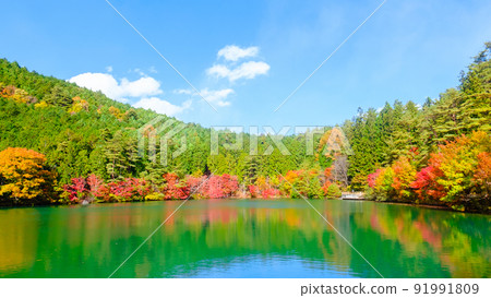 稻永湖（秋季） 91991809