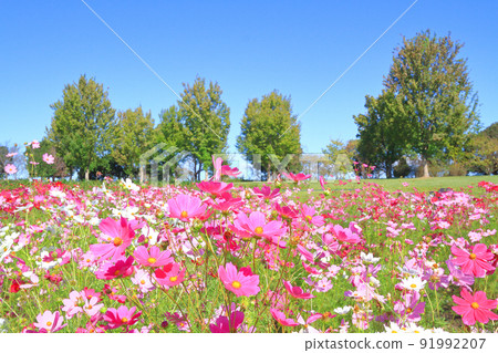 Ichinomiya City 138 Tower Park October 91992207