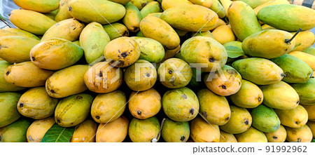 Heap of fresh ripe yellow mangoes background 91992962
