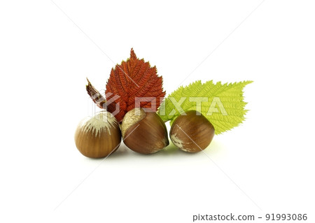 Hazelnuts and hazel leaves isolated on white Hazelnuts and hazel leaves isolated on white 91993086