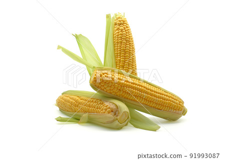 Fresh maize or corn on the cob Fresh maize or corn on the cob 91993087