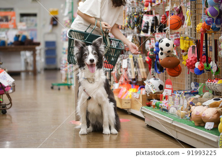 主人和他們的狗在寵物店購物的邊境牧羊犬 91993225