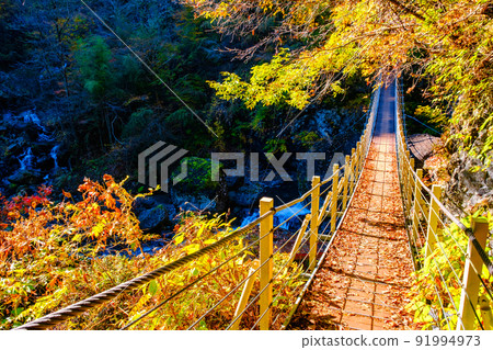 Oyanagawa Gorge (Autumn): Ryusen Bridge 91994973