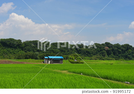 Original scenery of Hayamajima Original scenery of Hayamajima 91995172