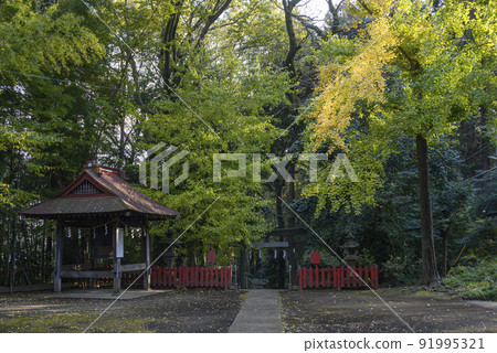 大和市下和田Sauma神社全景 91995321