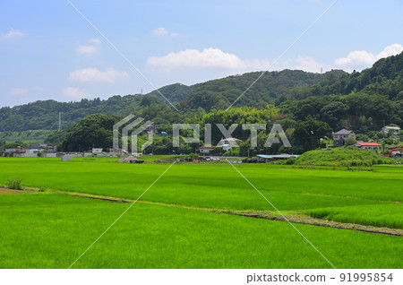 葉山島的田園風光 91995854