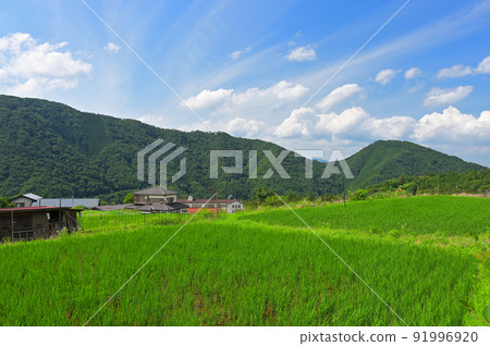 Rural scenery of Aone in the mountains 91996920