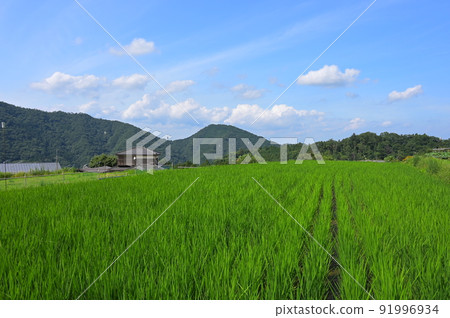 Rural scenery of Aone in the mountains Rural scenery of Aone in the mountains 91996934
