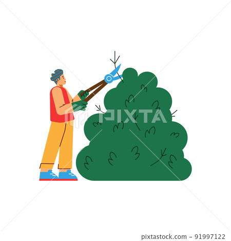 Male gardener cuts the bush flat cartoon vector illustration isolated on white. 91997122