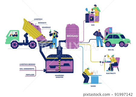 Biogas division diagram with digester generating gas fuel, flat vector isolated. Biogas division diagram with digester generating gas fuel, flat vector isolated. 91997142