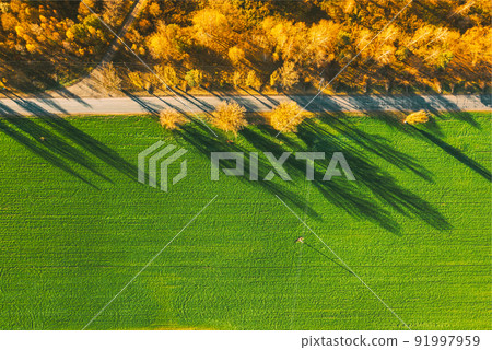Aerial view of highway road through green field and autumn yellow forest landscape. Top view flat view of highway motorway freeway from high attitude. Trip and travel concept 91997959