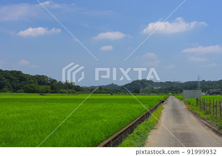 葉山島鄉下 葉山島鄉下 91999932
