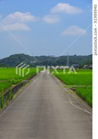 葉山島鄉下 91999940