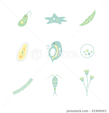 Illustration of microorganisms 91999943